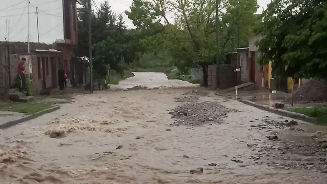 Jujuy: El intenso temporal de lluvía y viento causó inundación de casas, voladuras de techos, caída de postes y de árboles