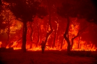 Grecia: Evacúan un centro turístico por un incendio forestal
