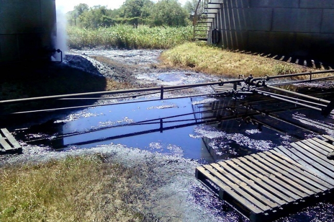 La justicia procesa a dos directivos de Carboquímica del Paraná SA, por contaminar el humedal del Delta del Paraná