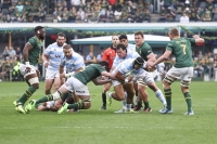 Rugby Championship: Los Pumas perdieron con Sudáfrica