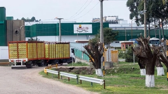 Banco Credicoop reclama a Granja Tres Arroyos una deuda por u$s350,9 millones