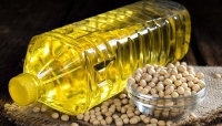 India realizó una compra récord de aceite de soja tras la baja de retenciones