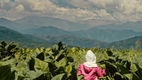 Llega a las salas del país el documental «WACAY, Mujeres del Tabacal», de Belén Revollo