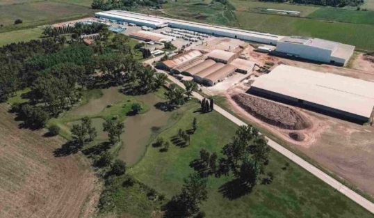 Cerámica Cortines despidió a 65 trabajadores