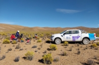 Hallan un acuífero apto para consumo en el salar jujeño de Alaroz