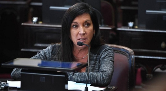 Rodríguez Machado dijo: «La intervención al PRO, es una traición a los valores que fundaron nuestro partido»