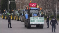 España: Agricultores se manifiestan contra la «falta de soluciones» ante la crisis del sector