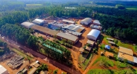 Misiones: Cooperativa Andresito suspendió pagos a productores «hasta nuevo aviso»