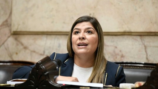Otra baja en el PRO: La diputada Verónica Razzini armó el bloque “Futuro y Libertad”