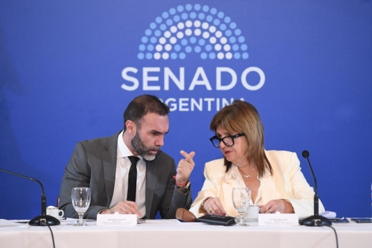 El Senado debatirá en comisión este viernes el Presupuesto 2026