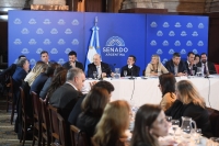 El Senado en comisión tratará el proyecto que elimina los límites para que los extranjeros puedan adquirir tierras