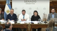 Senado: La oposición avanzó en reforma para jubilados y podría llegar al recinto la semana próxima