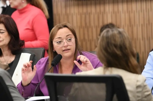 Endeudamiento familiar: La oposición rechazó el cronograma de la LLA y ratificó la sesión del 9
