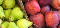 Río Negro: Menor cosecha de peras y manzanas golpea a la industria