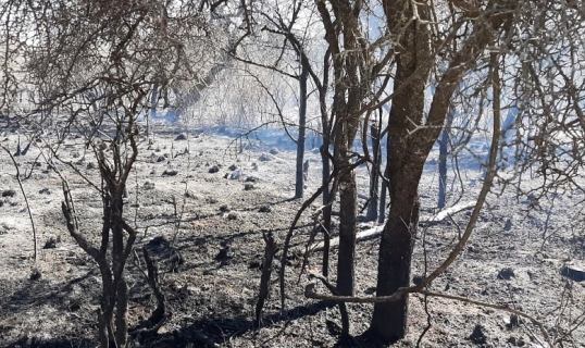 Córdoba: Controlaron el incendio en Punilla, pero que se mantiene el riesgo extremo