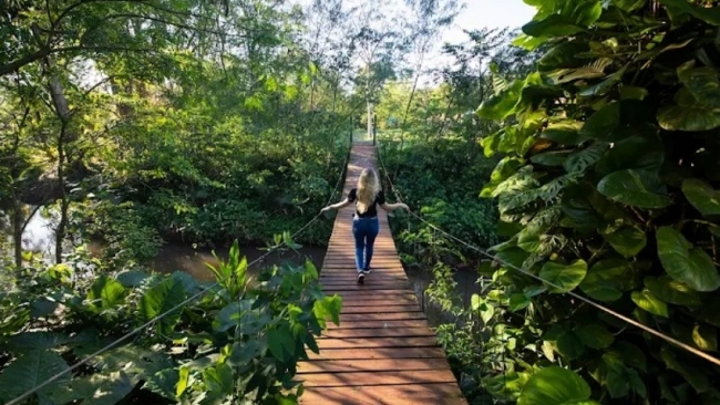 Misiones: Abren la primera escuela ambiental en Montecarlo