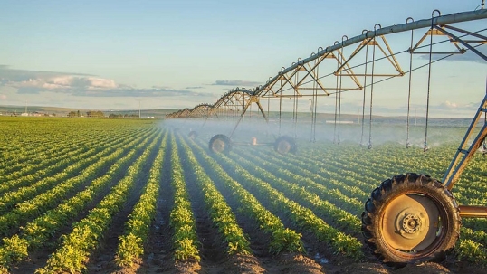 Río Negro: El Gobierno provincial busca créditos para el sistema de riego rural