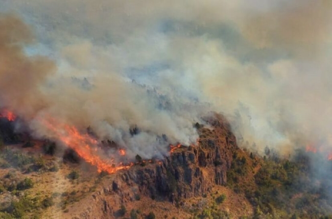Río Negro, Neuquén y Chubut presenta un proyecto regional de prevención de incendios