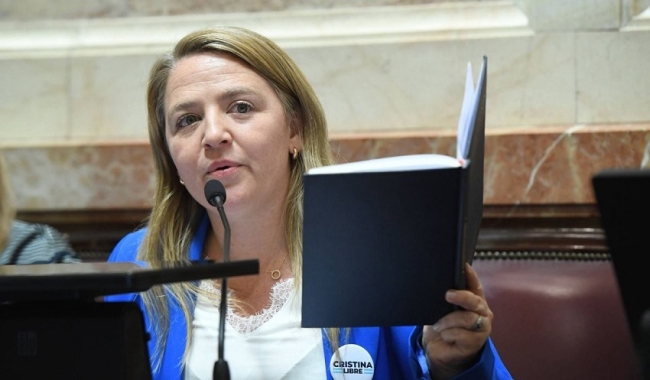 La senadora Ana Marks criticó el proyecto del Gobierno para modificar el régimen de Zona Fría