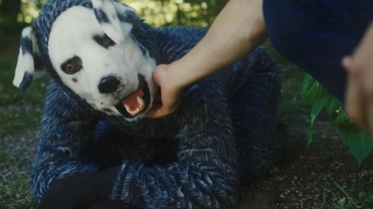 Estrenan la película de terror «Good Boy», con Shane Jensen, Larry Fessenden, Arielle Friedman