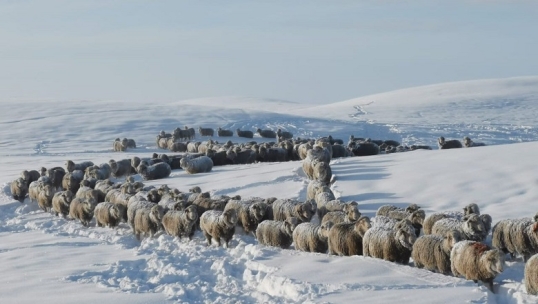 “Nos abandonaron” dicen los ruralistas de la Patagonia