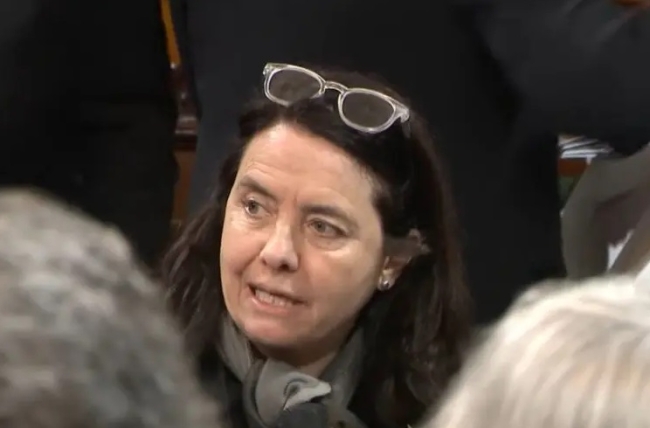 Senadora Frente Pro Libertad, Carmen Álvarez Rivero: “No creo que los niños argentinos tengan derecho a venir al Garrahan a ser curados”