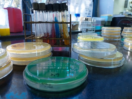 El ANLIS MALBRÁN recibió una doble distinción internacional