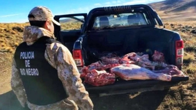 Río Negro: Camioneta de la Fuerza Aérea, con “carne vacuna faenada ilegalmente”