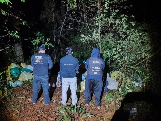 Misiones: secuestraron casi seis toneladas de marihuana