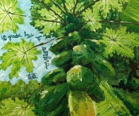 Vivac presenta su nuevo álbum “40 grados bajo la sombra”