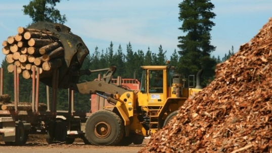La forestoindustria atraviesa su peor crisis en tres décadas