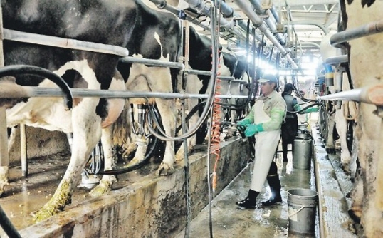El Gobierno Nacional lanza créditos que son pagaderos en toneladas de soja y en litros de leche