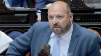 Carlos D’Alessandro dijo que "el verdadero ‘triángulo de hierro' es Karina, Lule y Martín Menem”