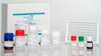 Investigadores del CONICET desarrollan el primer test de antígenos para el diagnóstico del dengue