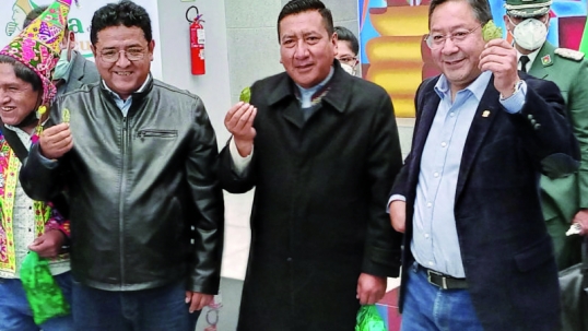 Bolivia: Diputados del MAS, le piden al presidente, Luis Arce, la remoción de al menos seis ministros