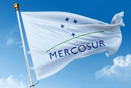 Javier Milei participará de la cumbre del Mercosur en Paraguay