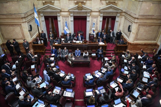 El Senado dio media sanción a un proyecto para reformar la Ley de DNU y limitar su uso por parte de Milei