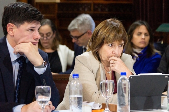 Crece la interna libertaria: Patricia Bullrich puso su renuncia a disposición a la jefatura del bloque
