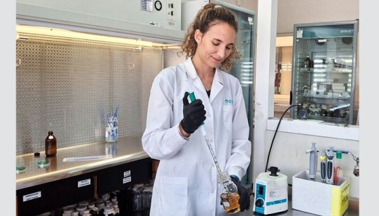 Conicet: Descubren que el maní podría servir de base para futuros desarrollos contra el dengue