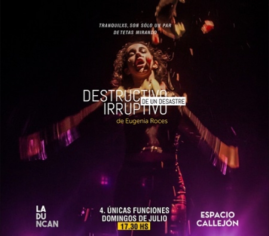 Eugenia Roces en Espacio Callejón: "Destructivo de un desastre irruptivo"