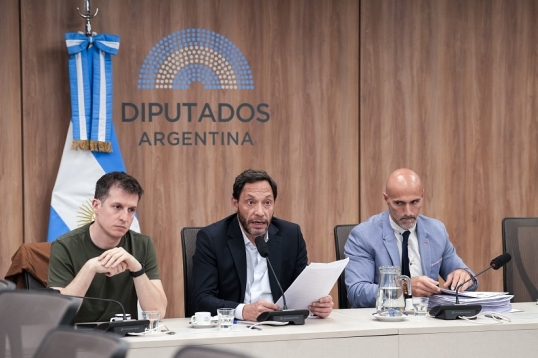 La Comisión investigadora de la cripto estafa $LIBRA sumó nuevas pruebas