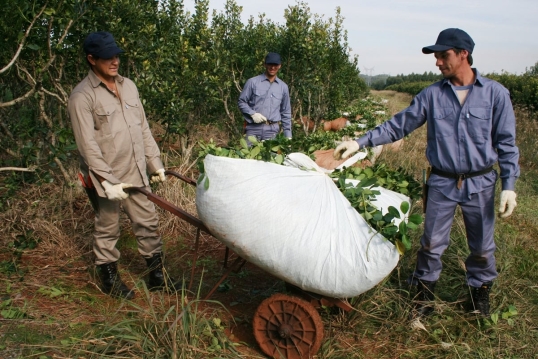 Los Productores Agrarios de Misiones piden la renuncia del presidente del INYM