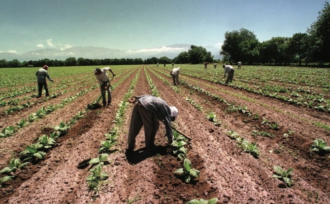 Todos los trabajadores y trabajadoras rurales ya pueden inscribirse en el Programa de Empleo Rural del RENATRE