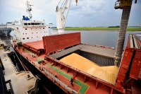 La exportación de granos creció un 57% luego de la eliminación de las retenciones y los cupos