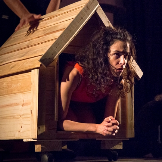 «La fragilidad de las casas»-Nueva temporada en el Teatro Armenia