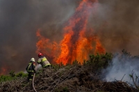 Chile: La cifra de muertos a raíz de los incendios forestales ascendió a 24 personas