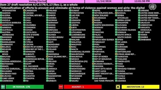 Argentina, el único país que votó en contra de «eliminar las formas de violencia contra las mujeres y las niñas»
