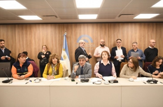 La Comisión de Salud Cámara de Diputados busca respuestas por el fentanilo contaminado