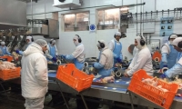 Granja Tres Arroyos despide a más de 80 trabajadores