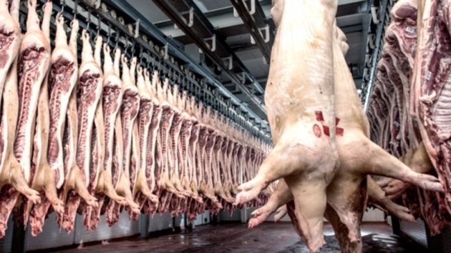 Fuerte incremento de las importaciones de carne de cerdo